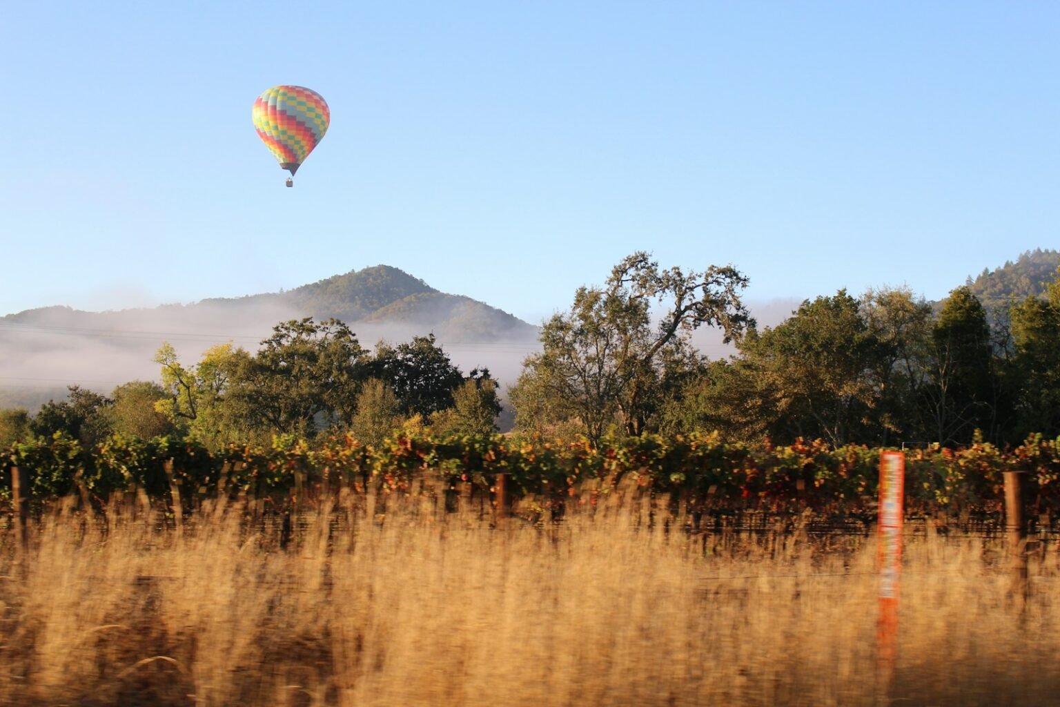 Top 10 Must-Visit Brunch Spots In Napa Valley